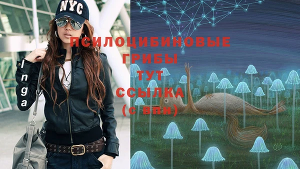 метамфетамин Гусь-Хрустальный