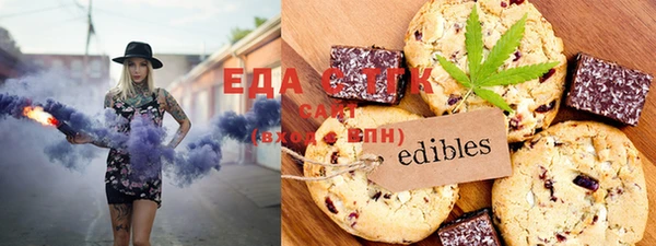 хмурый Ельня